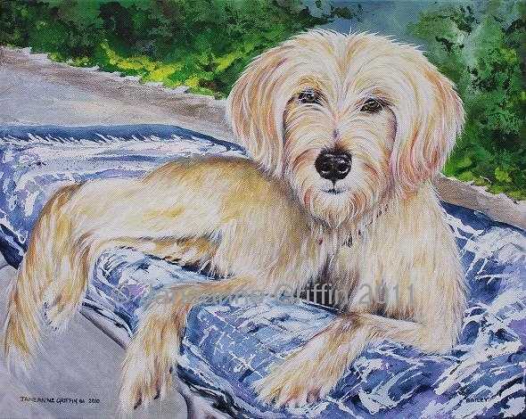 Labradoodle painting